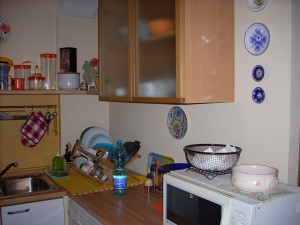 DSCN2135