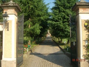 image (1)