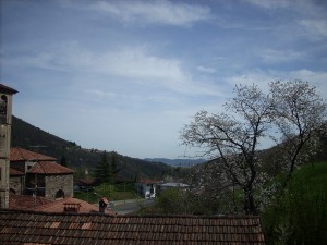 DSCN3736