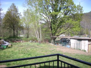 DSCN3784