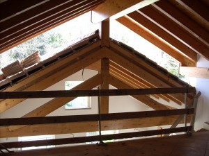 DSCN3790