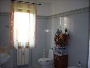 DSCN3837