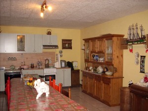 DSCN3850