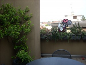 DSCN3892