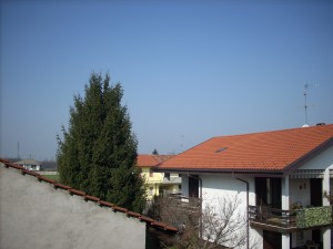 DSCN4170