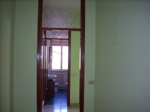 DSCN4172