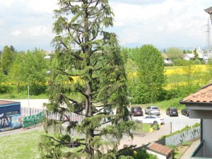 DSCN3512