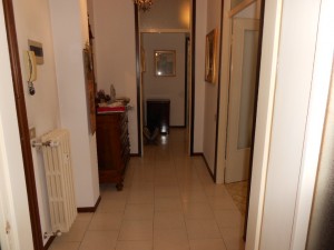 DSCN3536