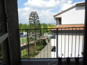 DSCN3539