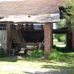 DSCN4416