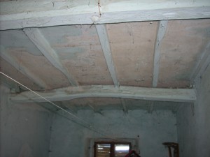 DSCN4429
