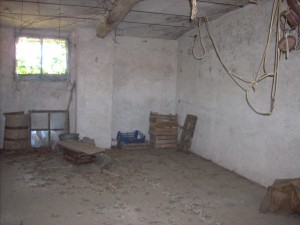 DSCN4433