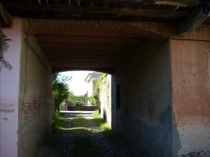 DSCN4435