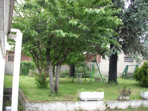 DSCN4456