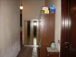 DSCN4462