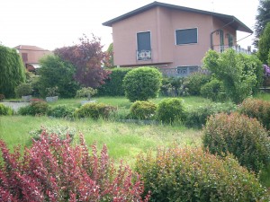 DSCN4524