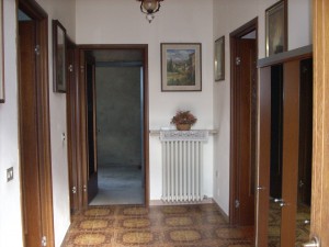 DSCN4539