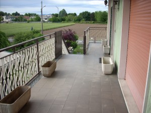 DSCN4541