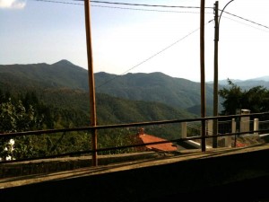 IMG_2661