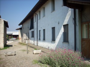 DSCN4623
