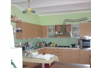 DSCN4633