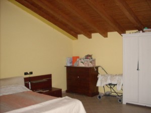 DSCN4649