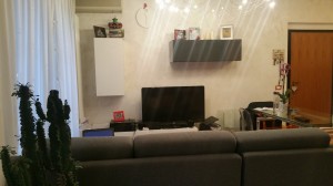 20160209_113048