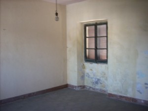 DSCN5079