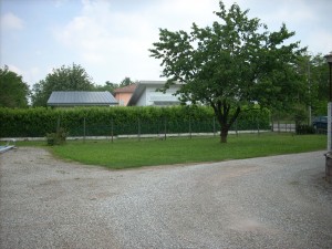DSCN5087