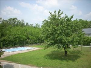 DSCN5101