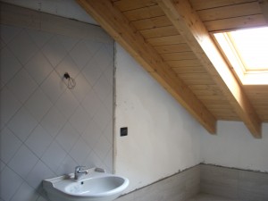 DSCN5153