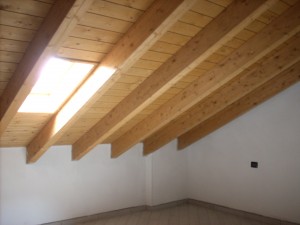 DSCN5156