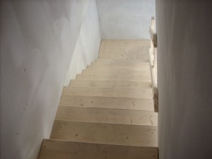 DSCN5157