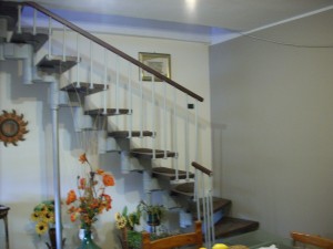 DSCN5246