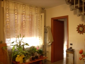 DSCN5247
