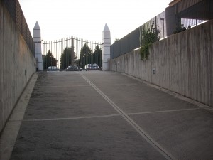 DSCN5334