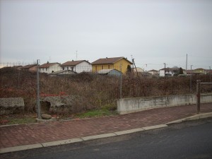 DSCN5442