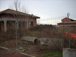 DSCN5443
