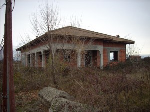 DSCN5444